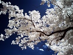 Winter Meditation Retreat
